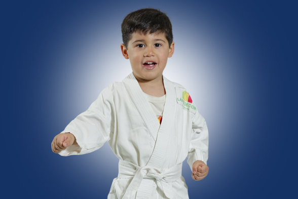 Jiu-jitsu (Gracie)